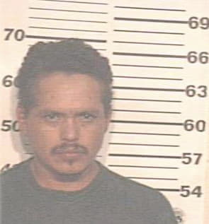 Hernandez Gerardo - Hidalgo County, TX 