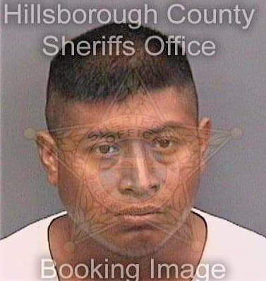 Cruzhernandez Luis - Hillsborough County, FL 