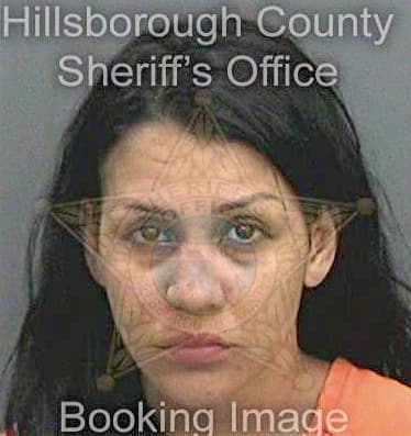 Guerra Yilena - Hillsborough County, FL 