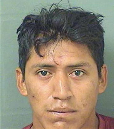 Hernandezbautista Edin - PalmBeach County, FL 