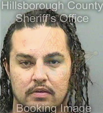 Diaz Joshua - Hillsborough County, FL 