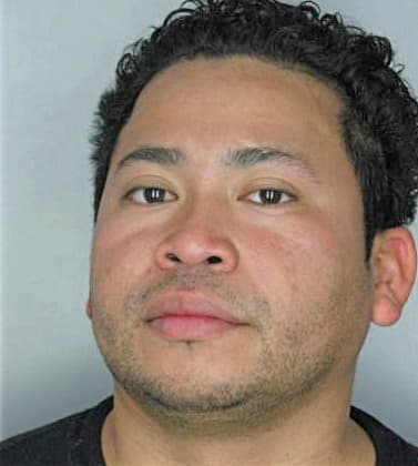 Mejia Erik - Hillsborough County, FL 