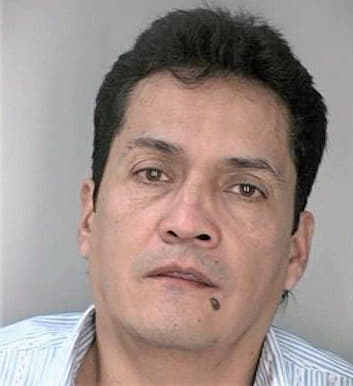 Bolanoslasso Marco - Hillsborough County, FL 