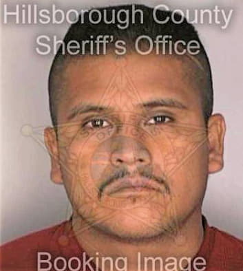 Lopezhernandez Ivan - Hillsborough County, FL 