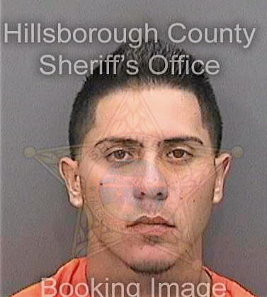 Colonnegron Juan - Hillsborough County, FL 