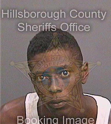 Stewart Andre - Hillsborough County, FL 