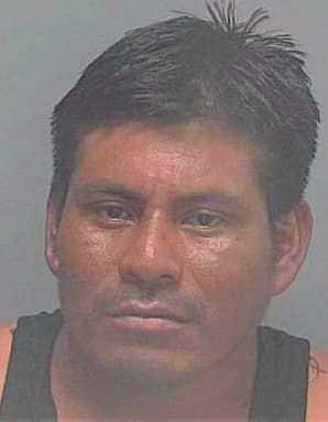 Juan Mateo - Lee County, FL 