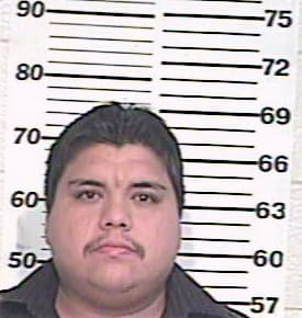 Ledesma Rogelio - Hidalgo County, TX 