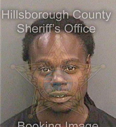 Rejouir Eric - Hillsborough County, FL 