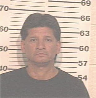 Aleman David - Hidalgo County, TX 