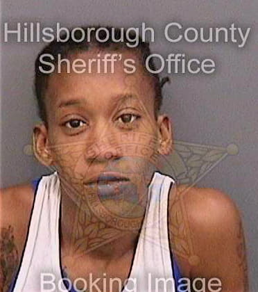 Mcgee Beyunka - Hillsborough County, FL 