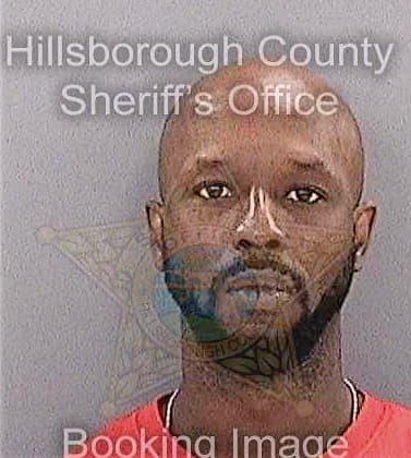 Johnson Carl - Hillsborough County, FL 