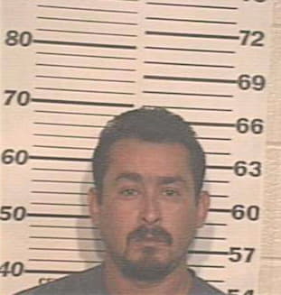 Hernandez David - Hidalgo County, TX 