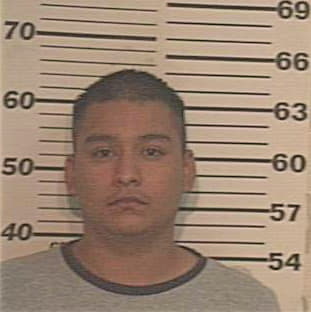 Ramirez Jose - Hidalgo County, TX 