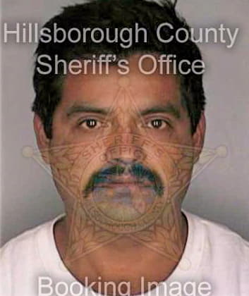 Trejo Esteban - Hillsborough County, FL 