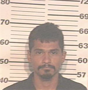 Chavez Gilberto - Hidalgo County, TX 