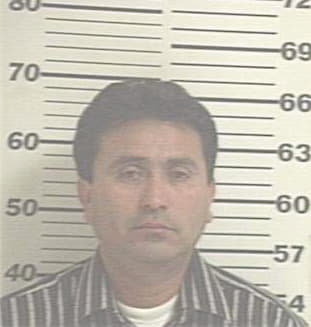 Hernandez Alejandro - Hidalgo County, TX 