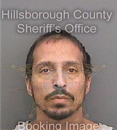 Toledo Willie - Hillsborough County, FL 