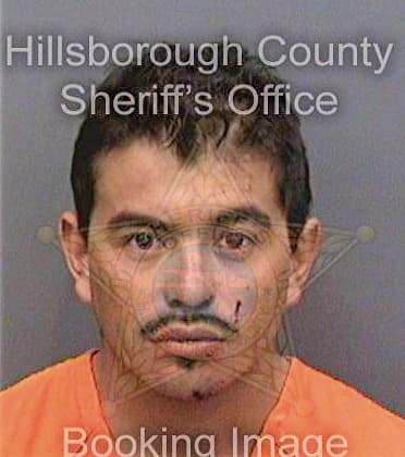 Castro Luis - Hillsborough County, FL 