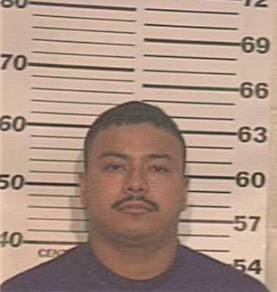 Hernandez Rene - Hidalgo County, TX 