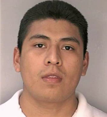 Mendoza Ricardo - Hillsborough County, FL 