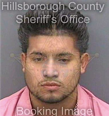 Navasanchez Victorino - Hillsborough County, FL 