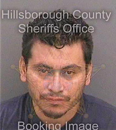 Orellanavillafuerte Wilfredo - Hillsborough County, FL 