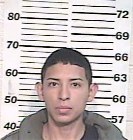 Gaona Jose - Hidalgo County, TX 