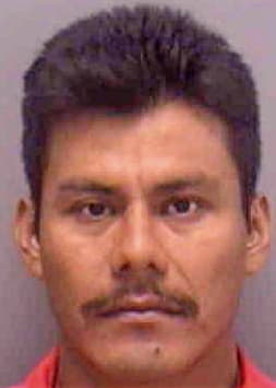 Hernandez Ronaldo - Lee County, FL 