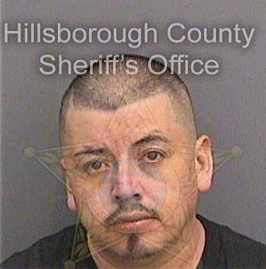 Rodriguez Alejandro - Hillsborough County, FL 