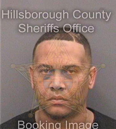 Mccaskill Anthony - Hillsborough County, FL 