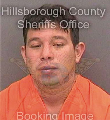 Melos-Robles Usein - Hillsborough County, FL 