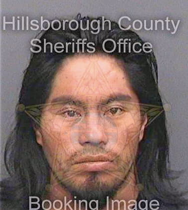 Gomez Carlos - Hillsborough County, FL 