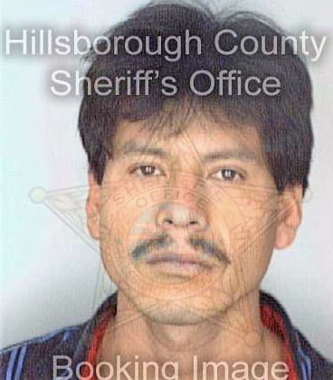 Santiago Fidencio - Hillsborough County, FL 