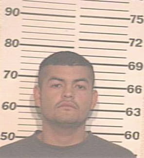 Ledesma Jose - Hidalgo County, TX 