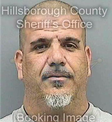 Perez Julio - Hillsborough County, FL 