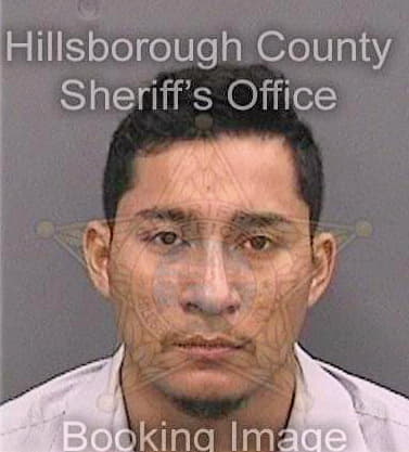 Patinodelgado Ramiro - Hillsborough County, FL 