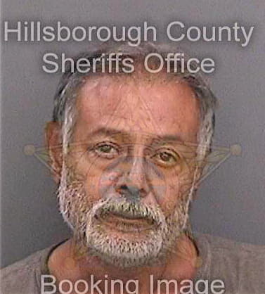 Ortiz Rodolfo - Hillsborough County, FL 