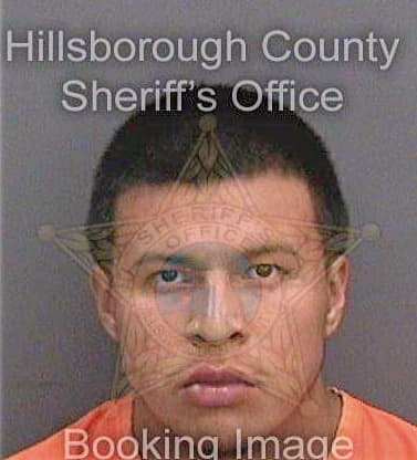 Cruz Eduardo - Hillsborough County, FL 