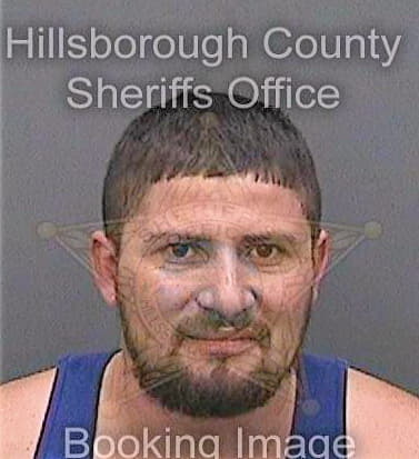 Mercadoguardado Gilberto - Hillsborough County, FL 