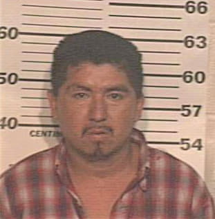 Hernandez Felipe - Hidalgo County, TX 