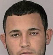 Mejiapeneda Edwin - Hillsborough County, FL 