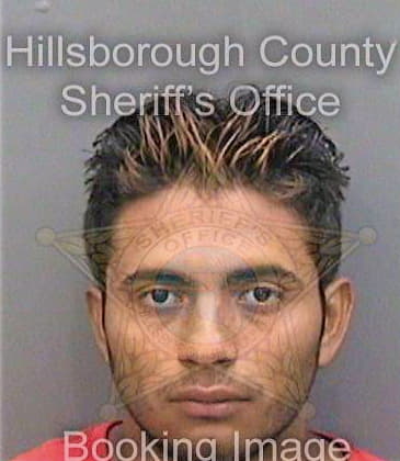 Sanchezhernandez Fredy - Hillsborough County, FL 