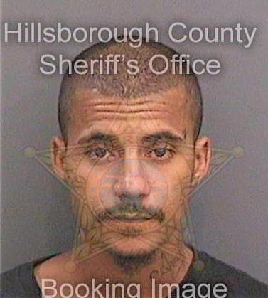 Daves Kristopher - Hillsborough County, FL 