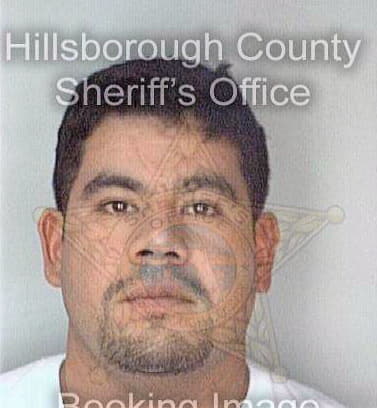 Juarez Victor - Hillsborough County, FL 