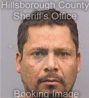 Colchadoceballos Servando - Hillsborough County, FL 