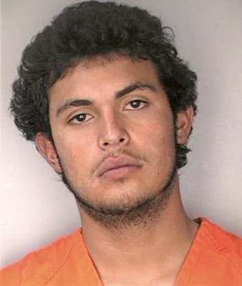 Sanchez Andres - Hillsborough County, FL 