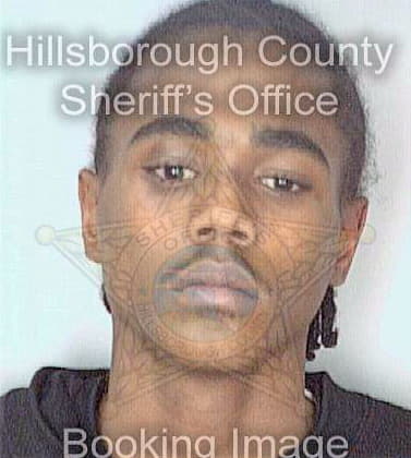 Lewis Eugene - Hillsborough County, FL 