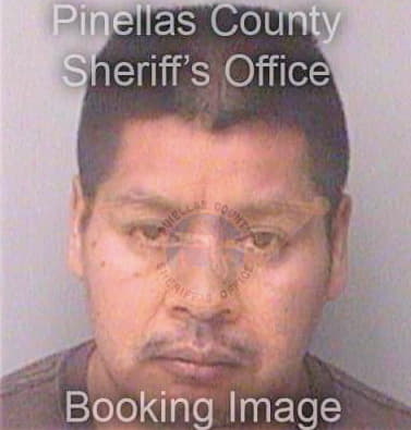 Perez Lorenzo - Pinellas County, FL 