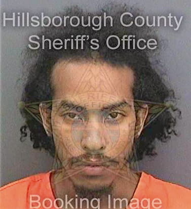 Delgado Carlos - Hillsborough County, FL 